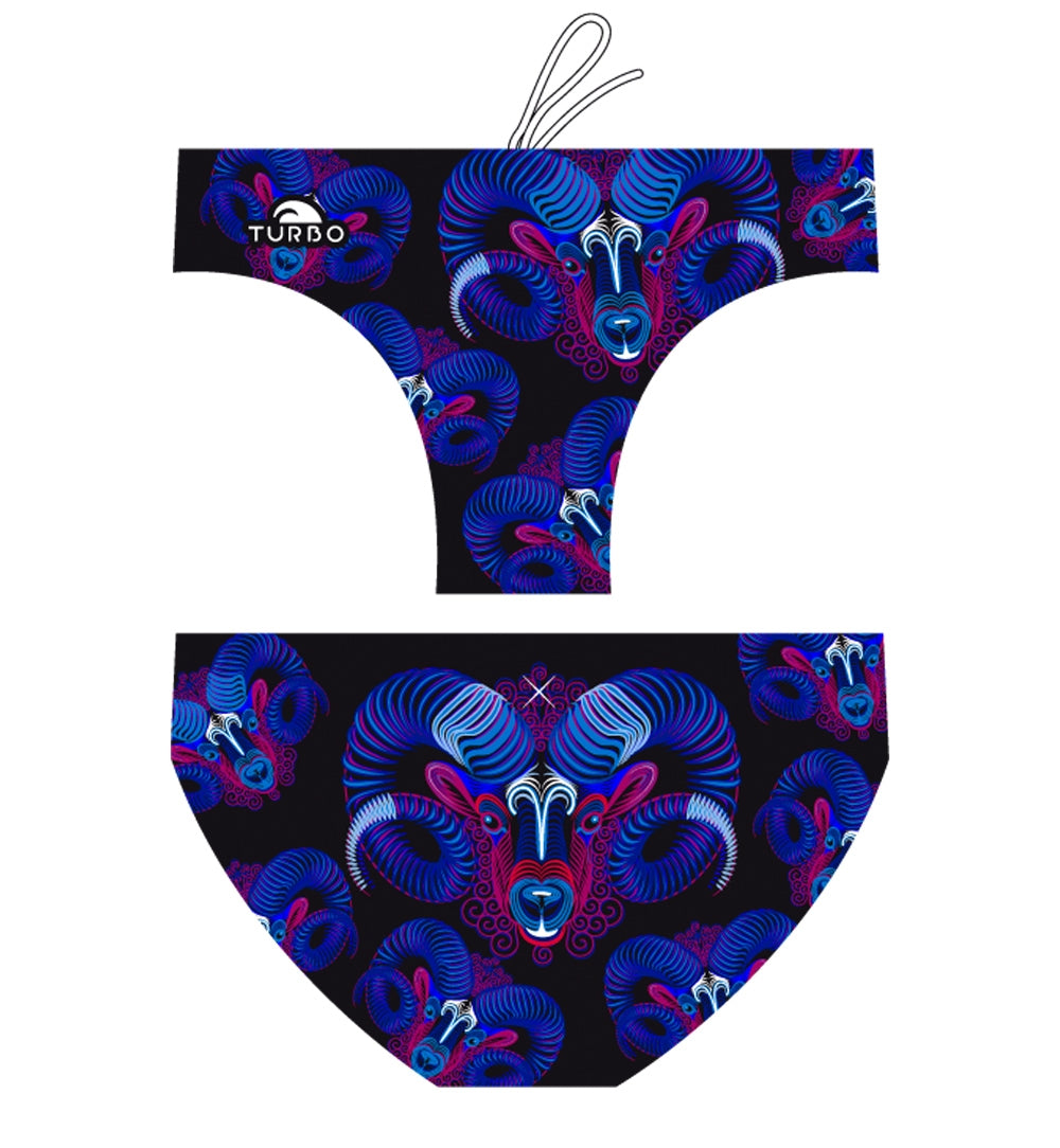 Aries
