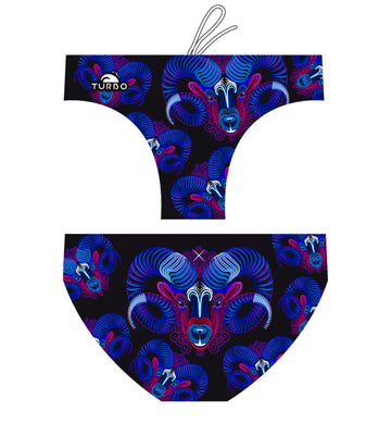 Aries