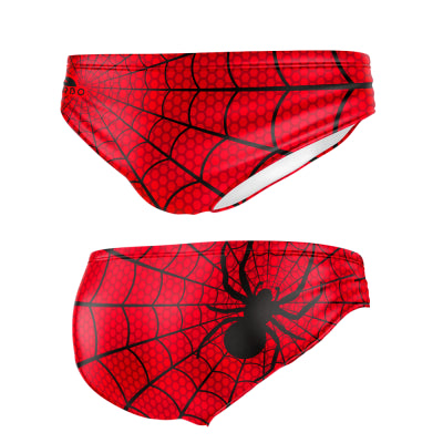 Spider Webs