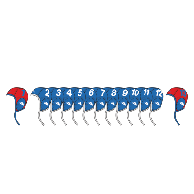 Set 13 calottine pallanuoto professional standard
